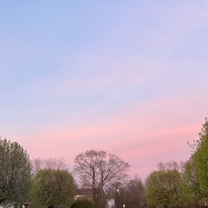 Meet your Posher, Josie